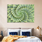 Spiral Aloe Close-up Wall Art