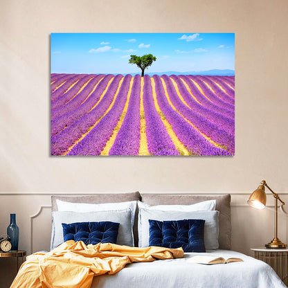 Lavender Field Wall Art