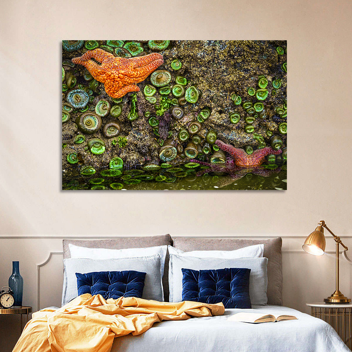Orange Starfish Tide Pool Wall Art in a room, landscape