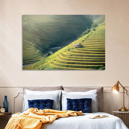 Rice Fields Wall Art