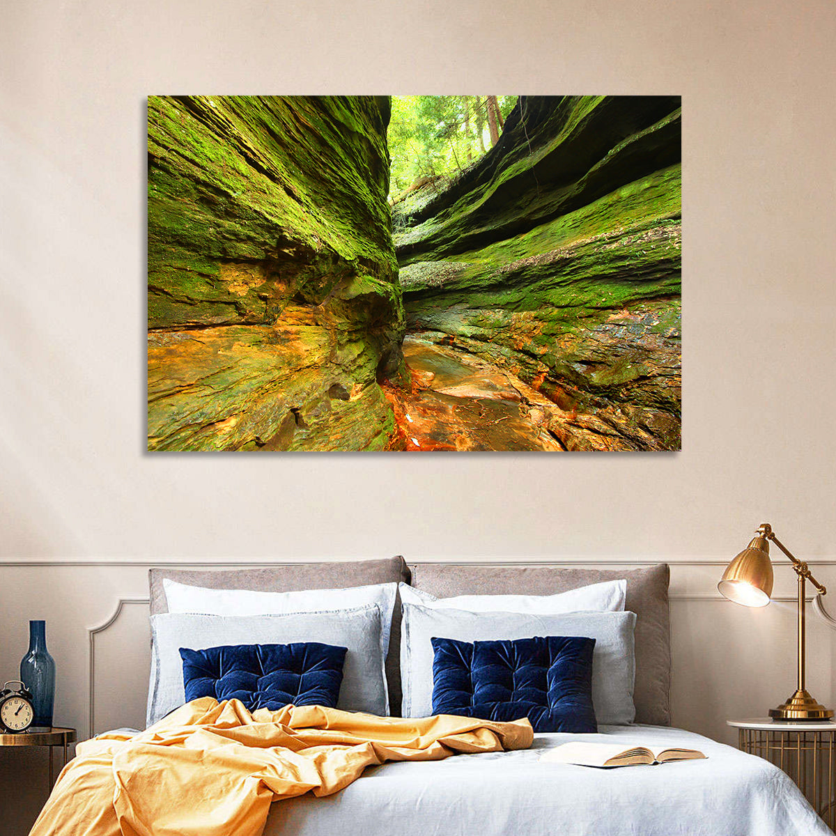 Turkey Run State Park Canyon Wall Art in a room, landscape
