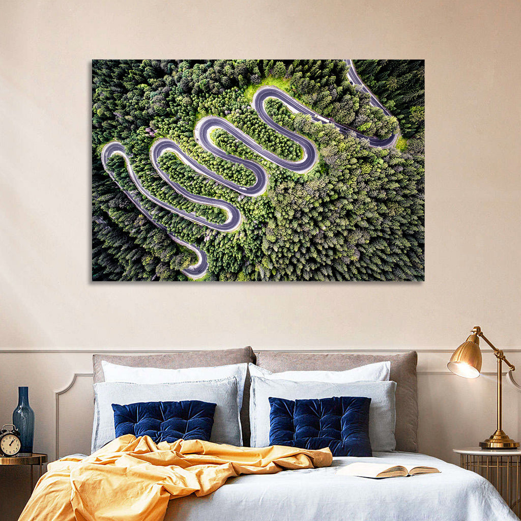 Serpentine Mountain Road Wall Art