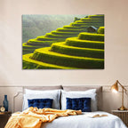Golden Rice Terraces Wall Art