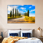 Sunlit Tuscany Cypress Road Wall Art