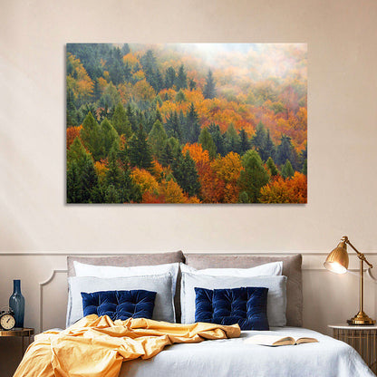 Autumn Forestscape Wall Art
