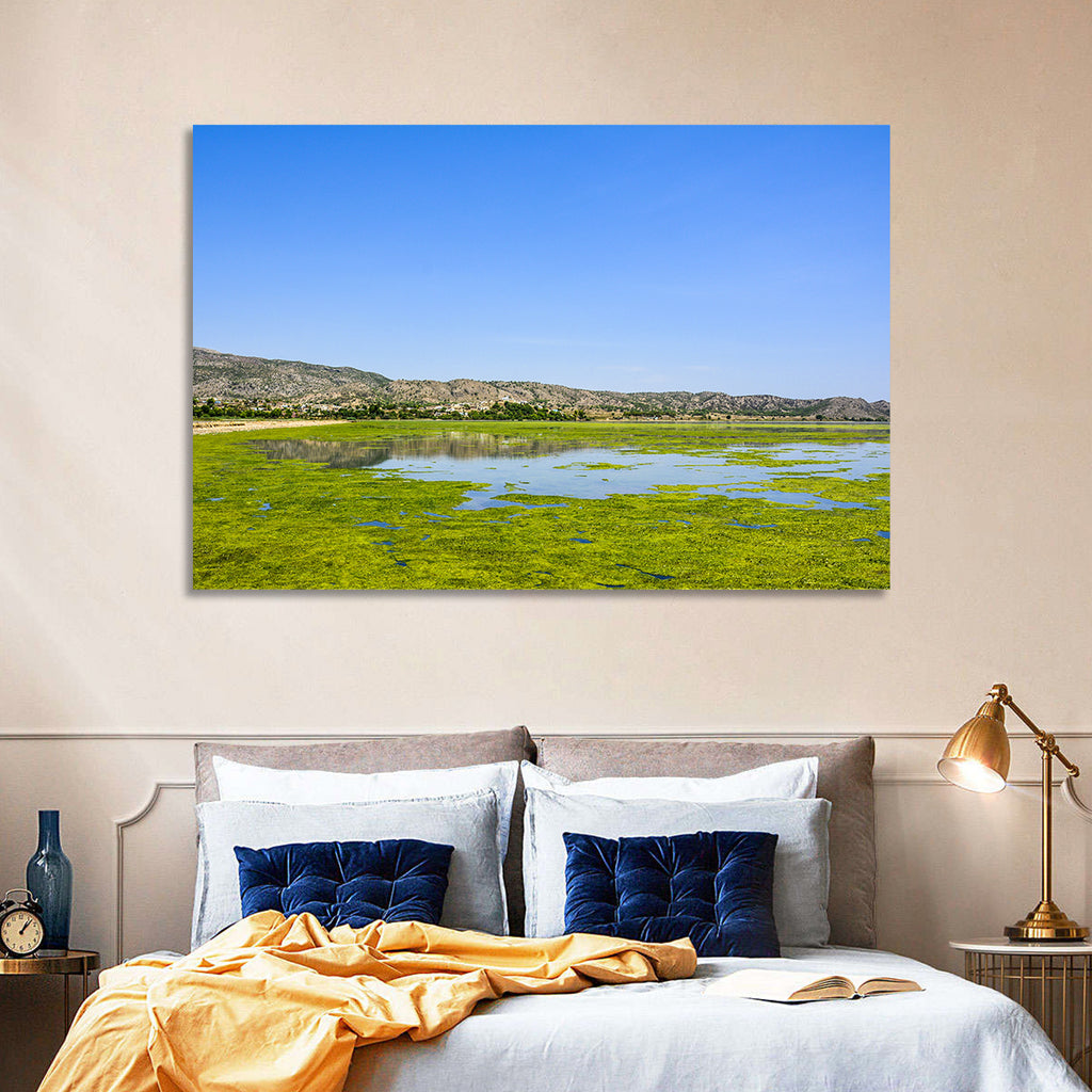 Uchali Lake Algae Reflection Wall Art
