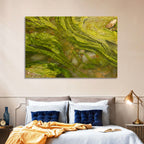 Macro Algae Stream Wall Art