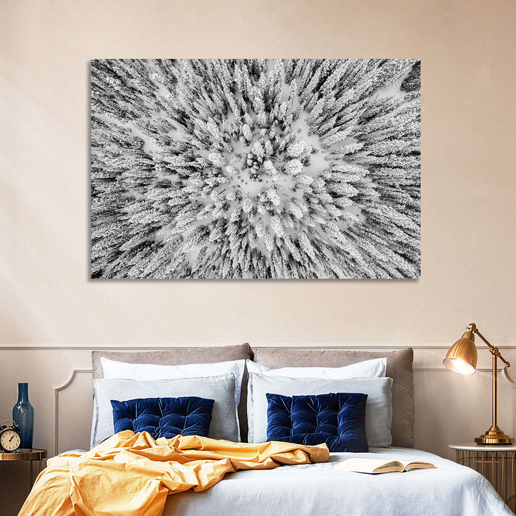 Snowy Aerial Forest Wall Art