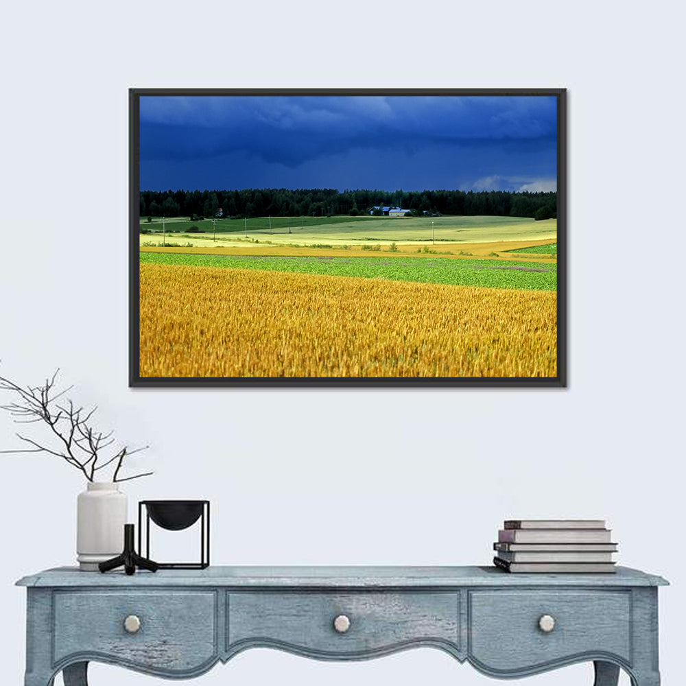 Cornfields Under Stormy Sky Wall Art in a room, landscape