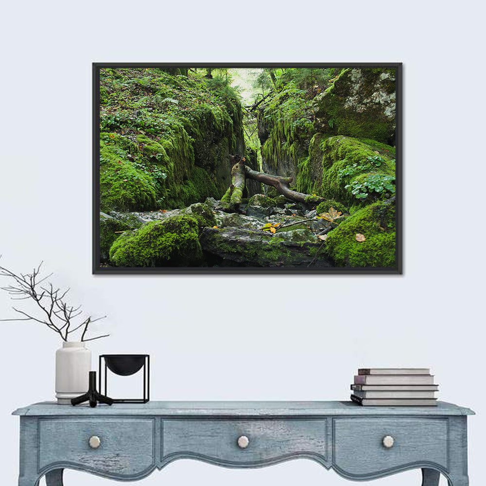 Kammersee Mossy Cleft Wall Art