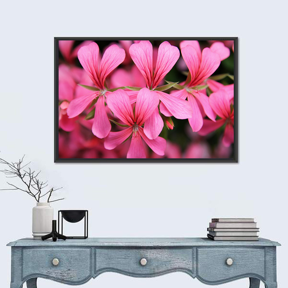 Pink Geranium Close Up Wall Art in a room, landscape