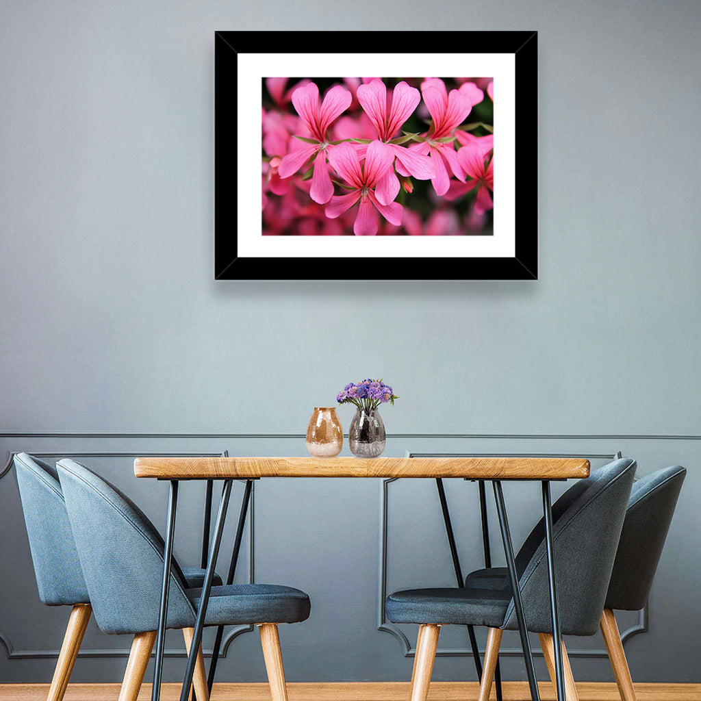 Pink Geranium Close Up Wall Art