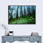 Misty Green Pine Forest Wall Art