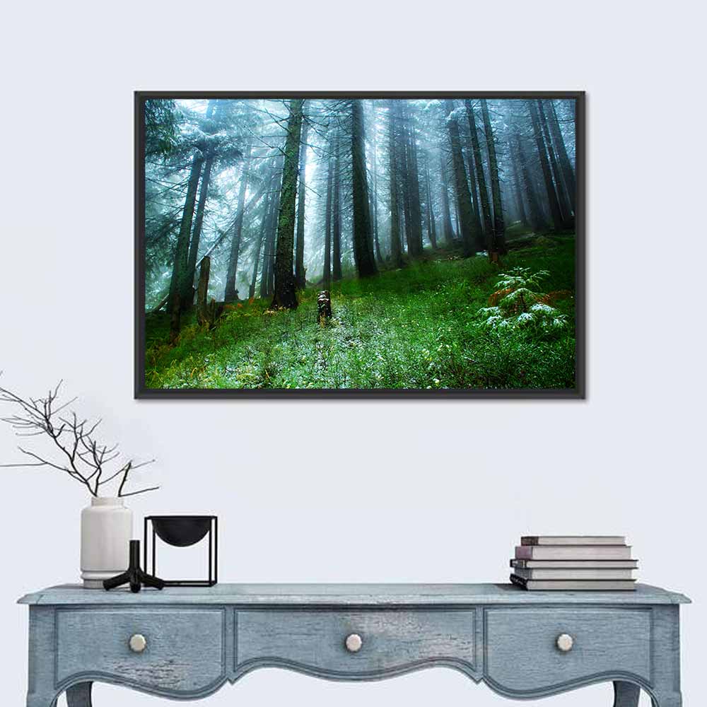 Misty Green Pine Forest Wall Art