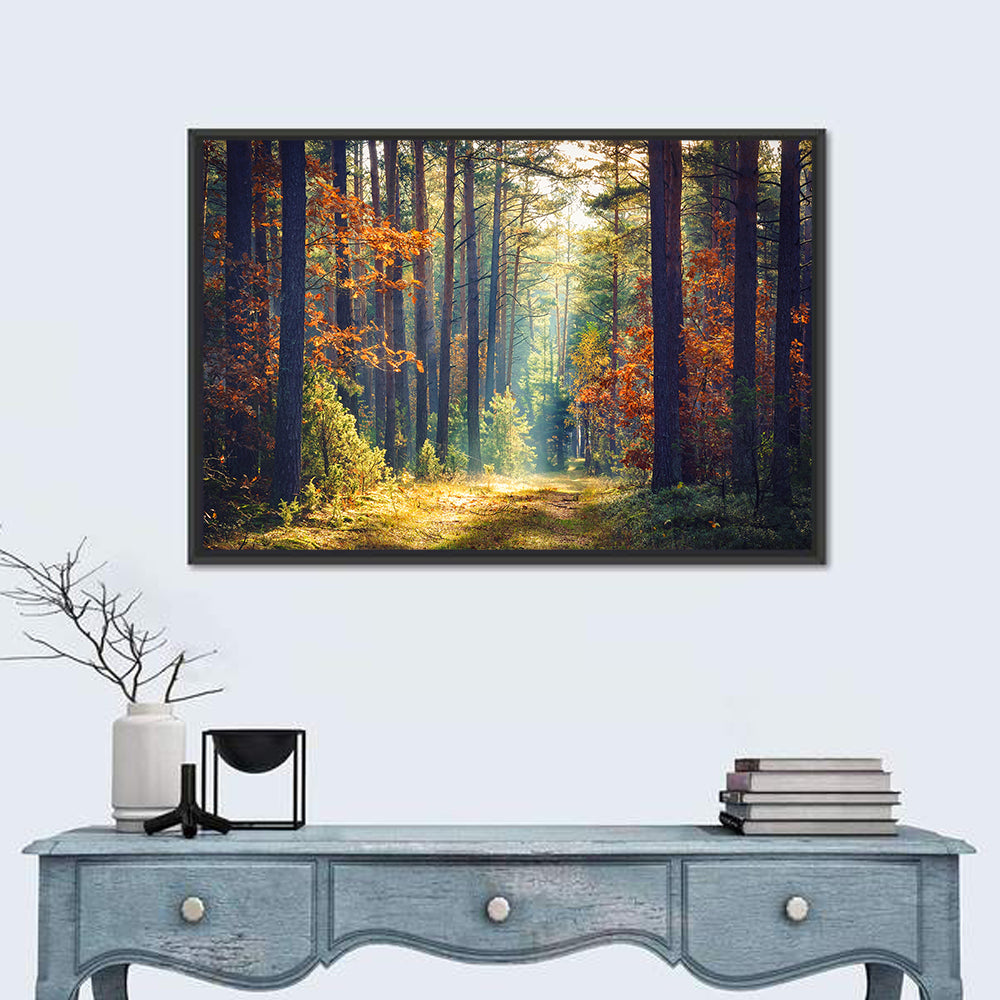 Sunlit Autumn Pine Forest Wall Art in a room, landscape