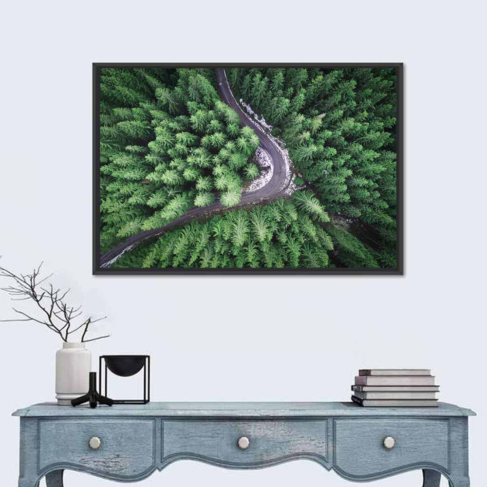 Aerial Forest Road Wall Art in a room, landscape