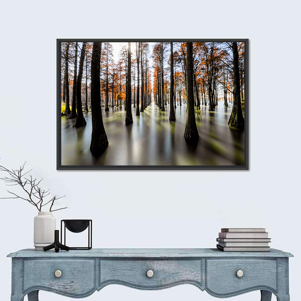 Autumn Flooded Cypress Forest Wall Art in a room, landscape