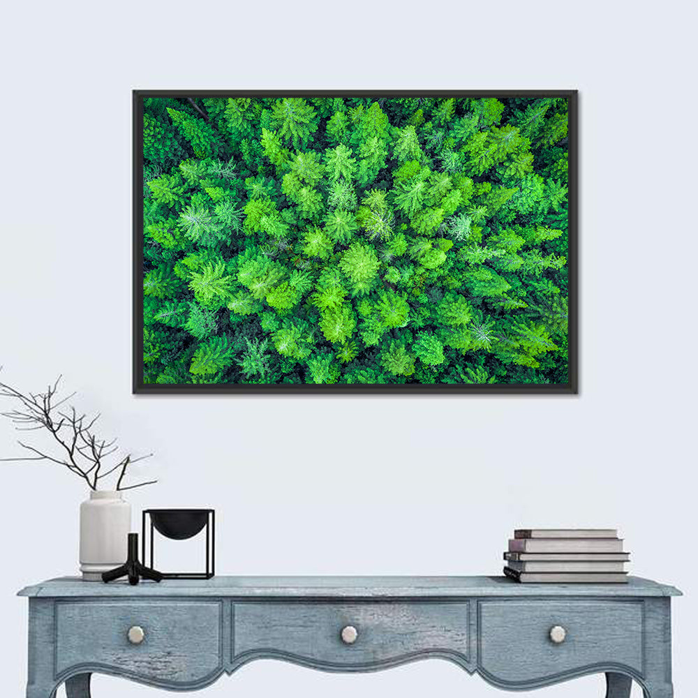 Whakarewarewa Forest Canopy Wall Art in a room, landscape