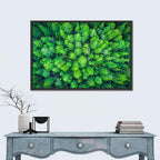 Whakarewarewa Forest Canopy Wall Art