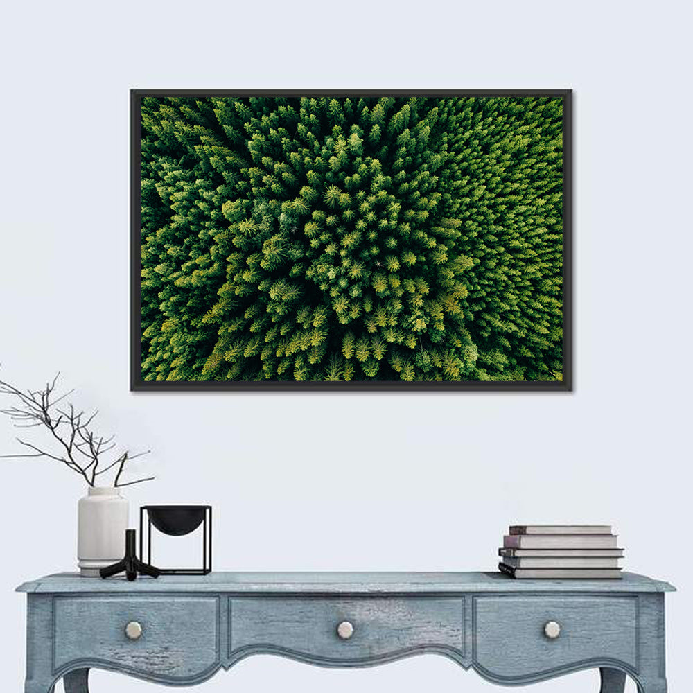 Aerial Conifer Canopy Wall Art in a room, landscape