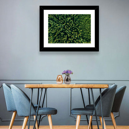 Forest Aerial Pattern Wall Art