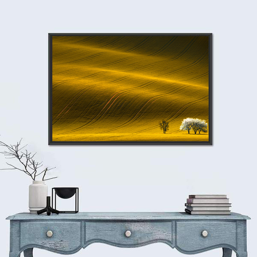 Golden Hour Rapeseed Field Wall Art in a room, landscape