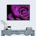 Purple Rose Close-up Wall Art
