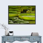 Giant Victoria Amazonica Lily Pads Wall Art