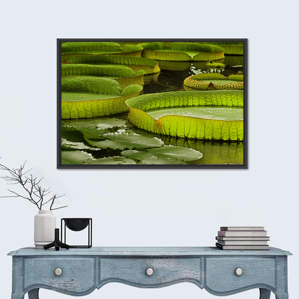 Giant Victoria Amazonica Lily Pads Wall Art