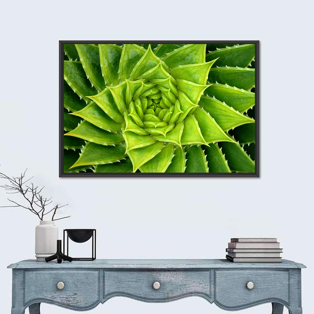 Spiral Aloe Succulent Wall Art in a room, landscape