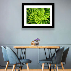 Spiral Aloe Wall Art