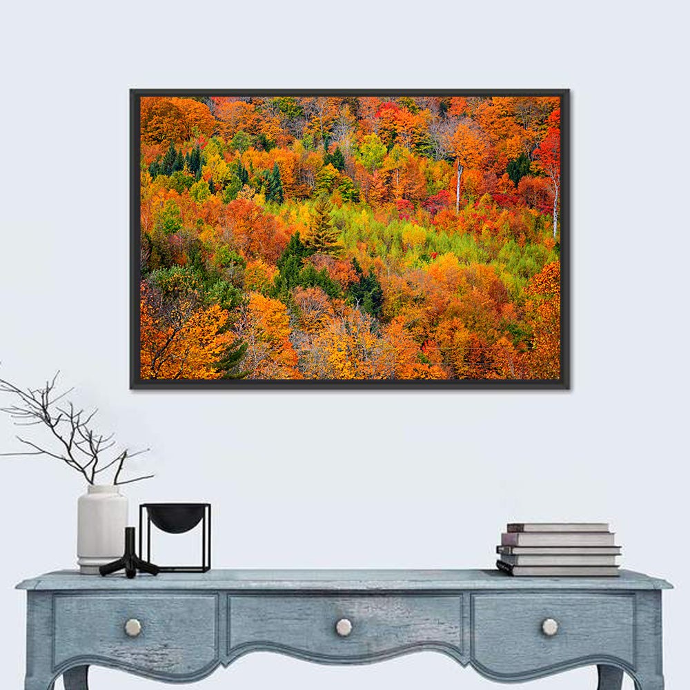 Vermont Autumn Mountain Forest Wall Art in a room, landscape