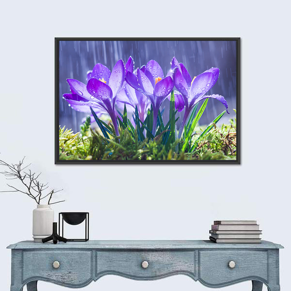 Rainy Purple Crocuses Wall Art in a room, landscape