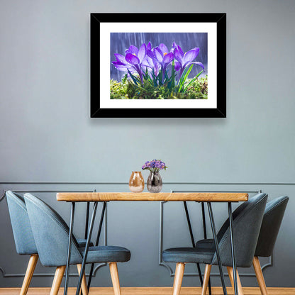 Blue Crocuses Wall Art