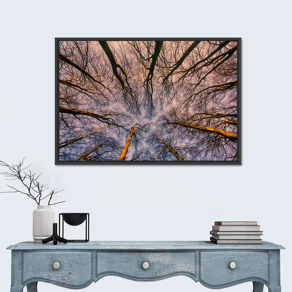 Misty Forest Canopy Wall Art