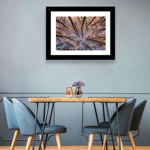 Misty Forest Abstract Wall Art