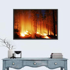 Night Forest Fire Wall Art