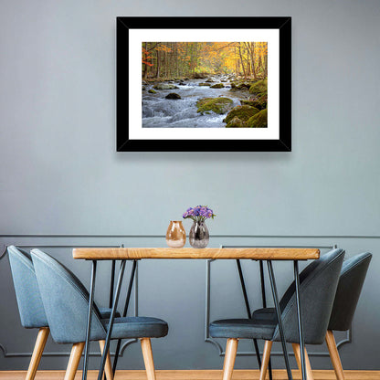 Flowing Mountain Stream Wall Art