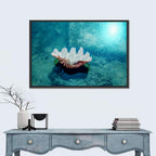 Giant Clam Shell Wall Art