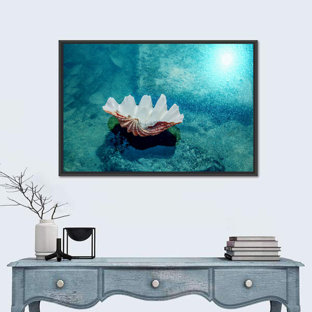 Giant Clam Shell Wall Art
