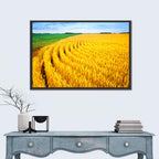 Summer Wheat Field with Curved Paths Wall Art