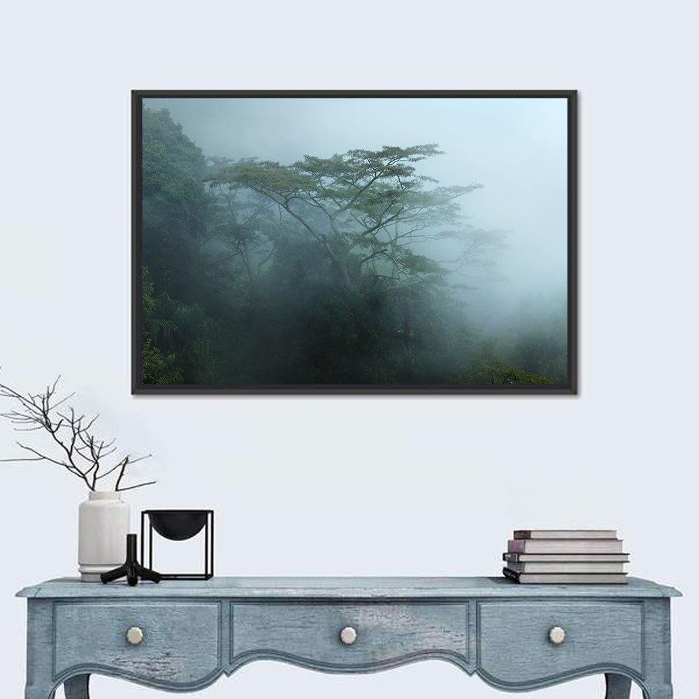 Misty Rainforest Canopy Wall Art in a room, landscape