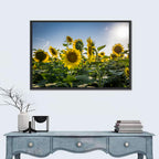 Backlit Sunflower Field Wall Art