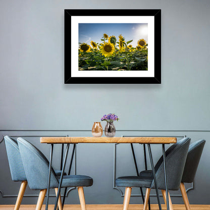 Fresh Sunflowers Field Wall Art