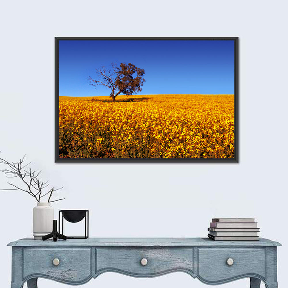 Canola Field with Lone Tree Wall Art in a room, landscape