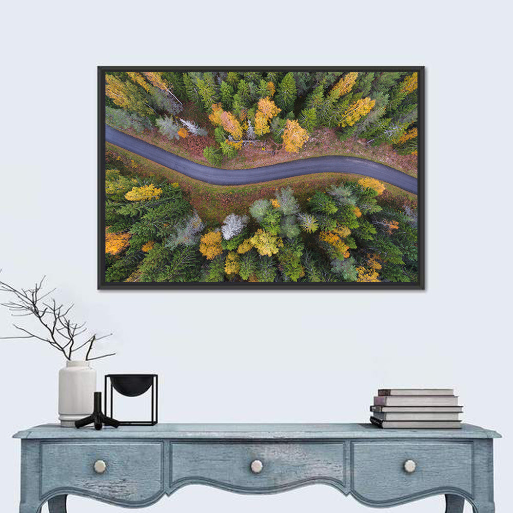 Aerial Autumn Forest Road Wall Art in a room, landscape