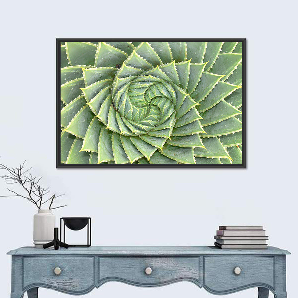 Spiral Aloe Close-up Wall Art in a room, landscape