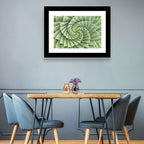 Spiral Aloe Close-up Wall Art