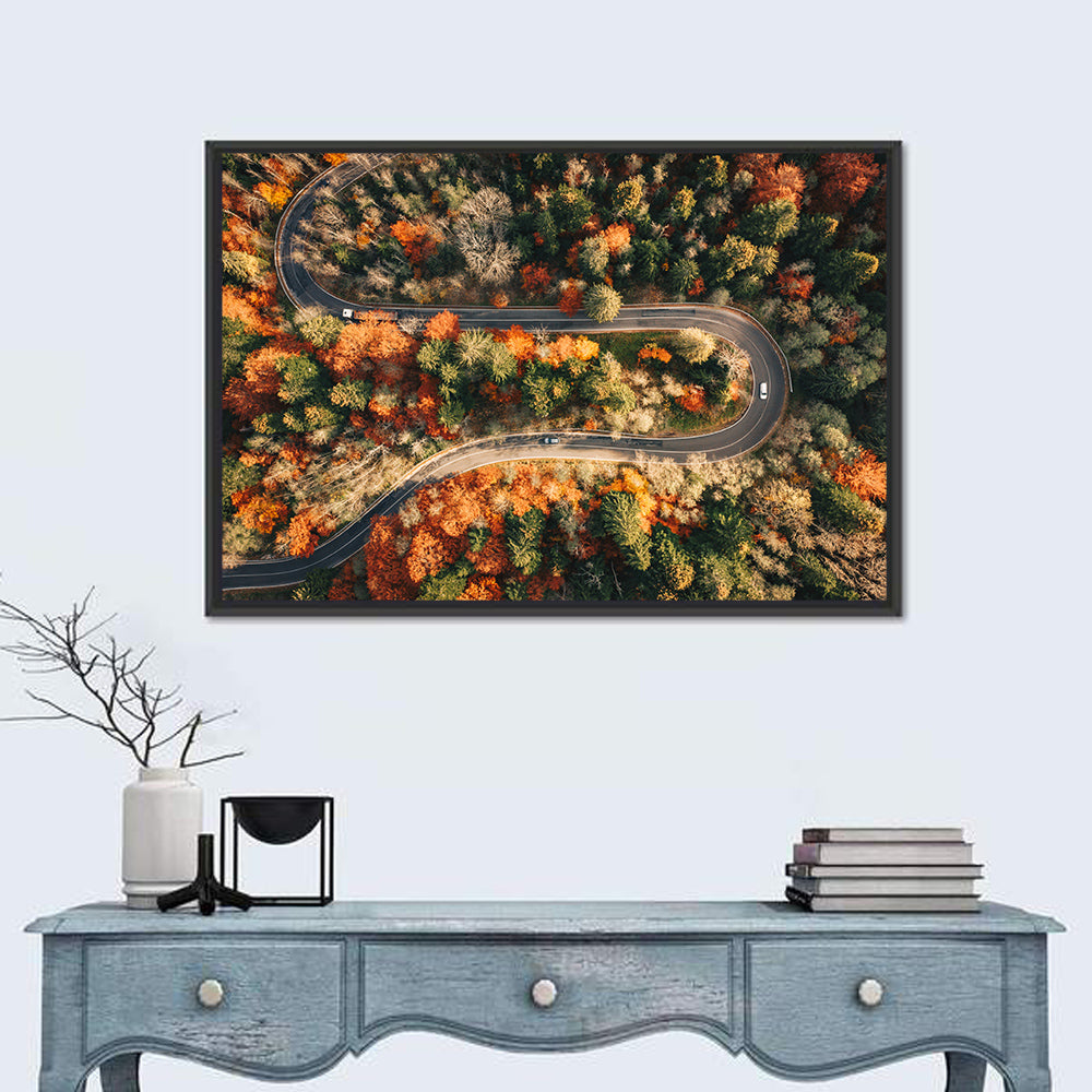 Aerial Winding Autumn Forest Road Wall Art