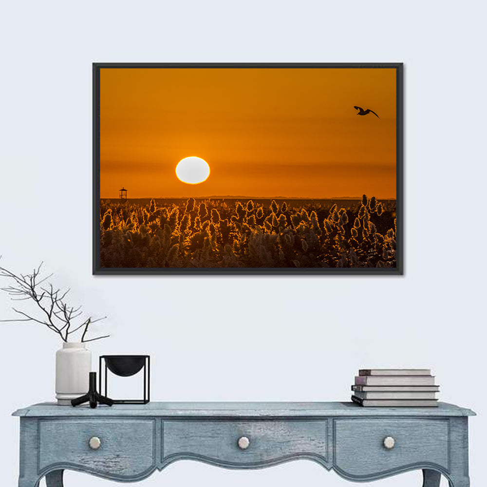 Golden Sunrise Over Reeds Wall Art